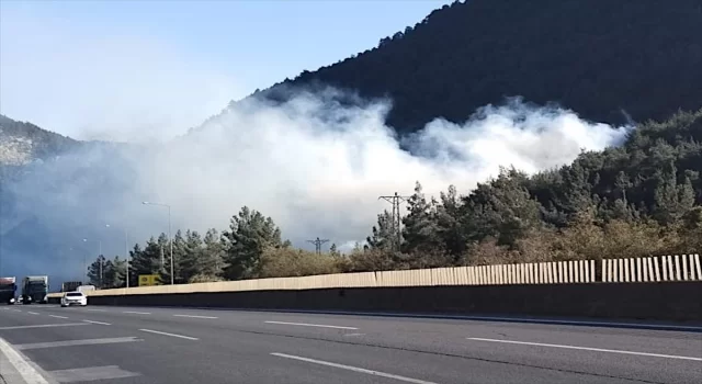 Mersin’de ormanlık alanda çıkan yangına müdahale ediliyor 