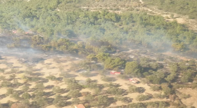 İzmir’de tarım arazisinde çıkıp ormana sıçrayan yangın kontrol altına alındı