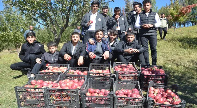 Hakkari’de tarım öğrencileri elma hasadı yaptı