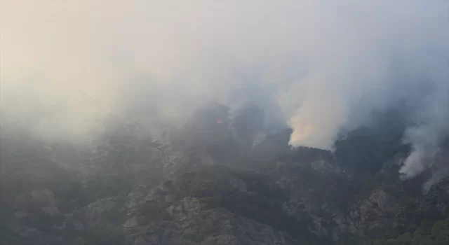 Denizli’deki orman yangınına müdahale sürüyor