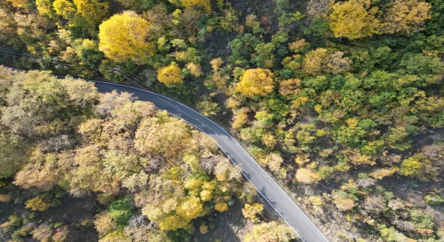 Tekirdağ’da Ganos Dağı eteklerindeki ormanlar hazan mevsiminin renklerine büründü