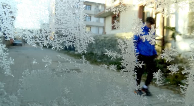 Kars ile Ardahan’da soğuk hava ve kırağı etkili oldu