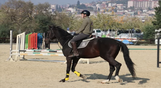 Tören ve müsabaka atları emeklilikte de binicilik sporuna hizmet ediyor