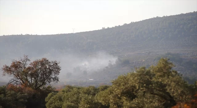 Muğla’da ormanlık ve zeytinlik alanda yangın çıktı