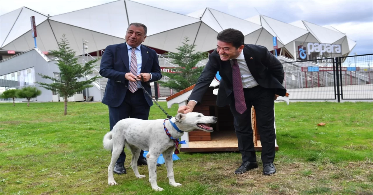 Trabzonspor Kulübü, Fenerbahçe maçı öncesinde sahaya giren köpeği sahiplendi