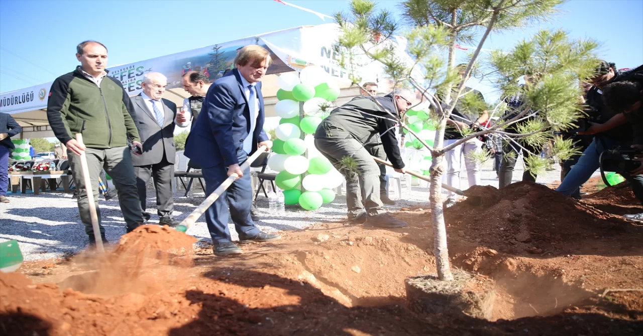 Antalya ve çevre illerde fidanlar toprakla buluştu