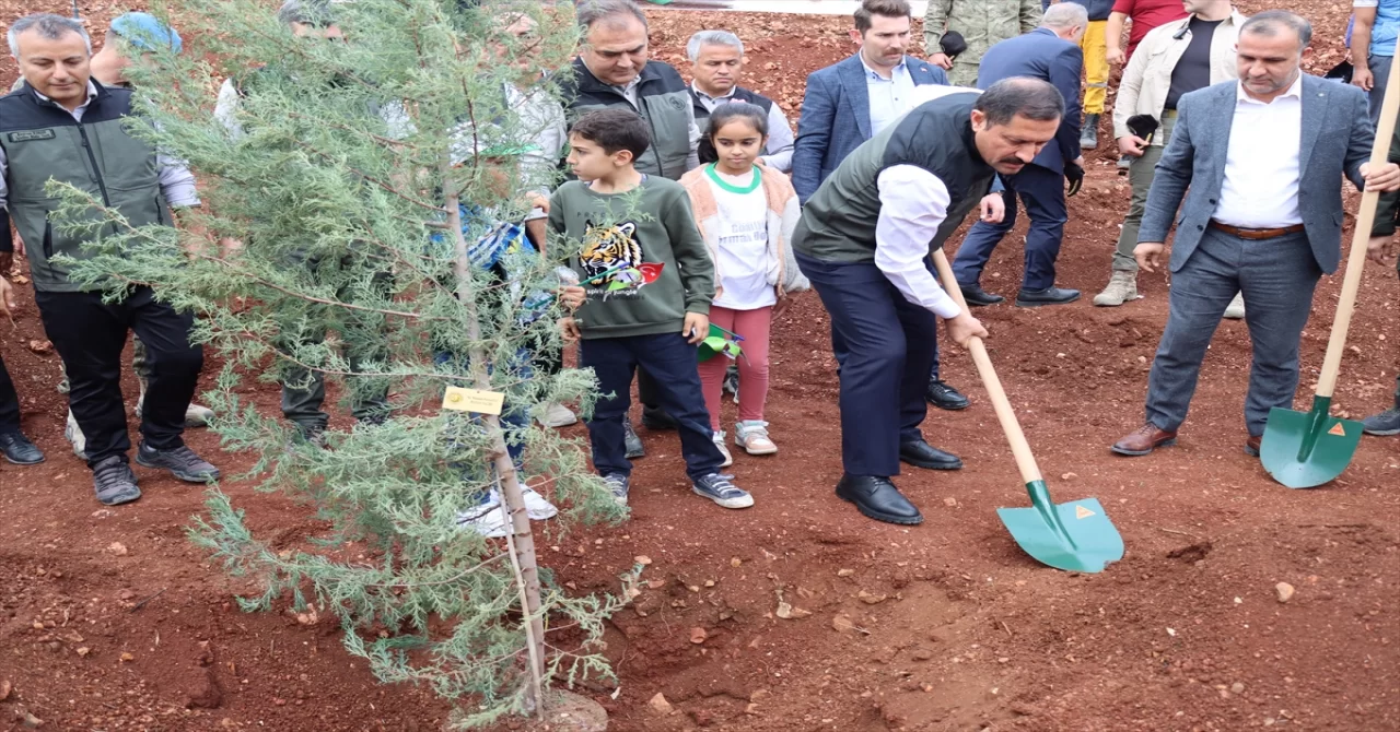 Adana, Mersin, Hatay ve Osmaniye’de fidanlar toprakla buluşturuldu