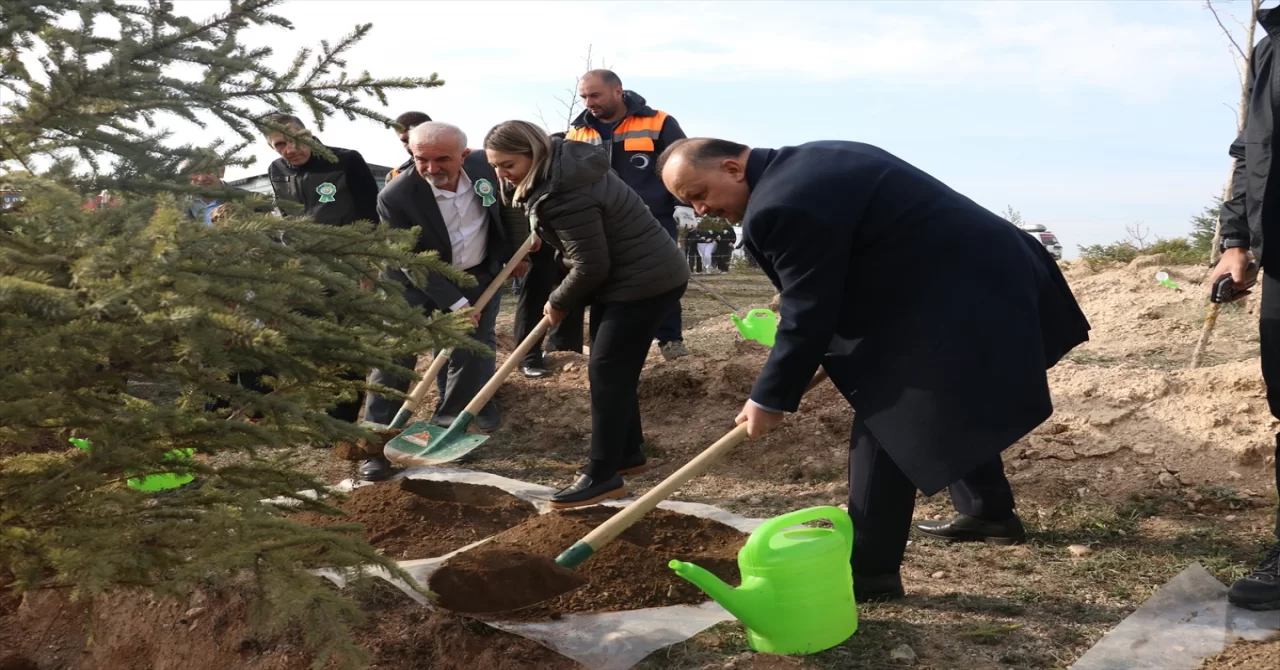 Samsun ve çevre illerde Milli Ağaçlandırma Günü’nde fidanlar toprakla buluştu