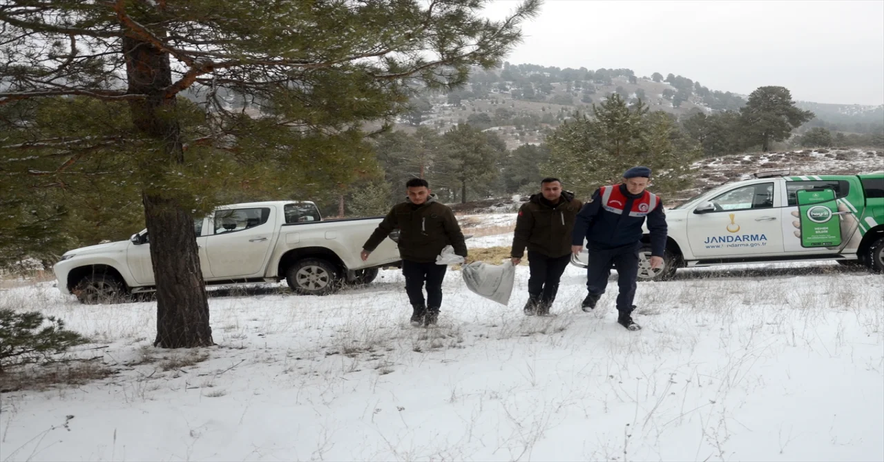 Kars’ta yaban hayvanları için doğaya yem bırakıldı