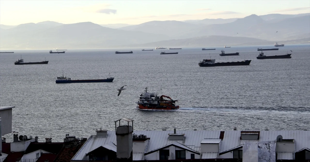 Meteorolojik uyarının ardından yük gemileri Sinop’un tabii limanına sığındı 