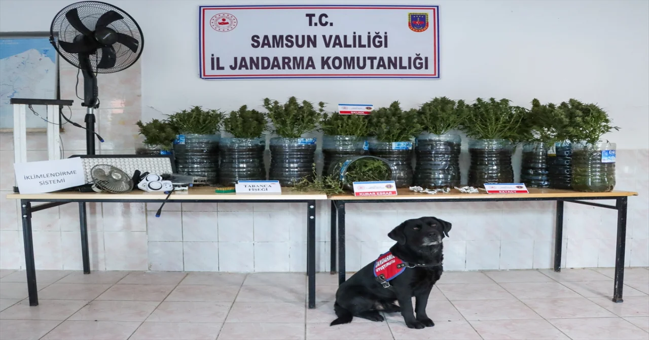 Samsun’da evinde iklimlendirme sistemi kurarak uyuşturucu üreten sanık yakalandı