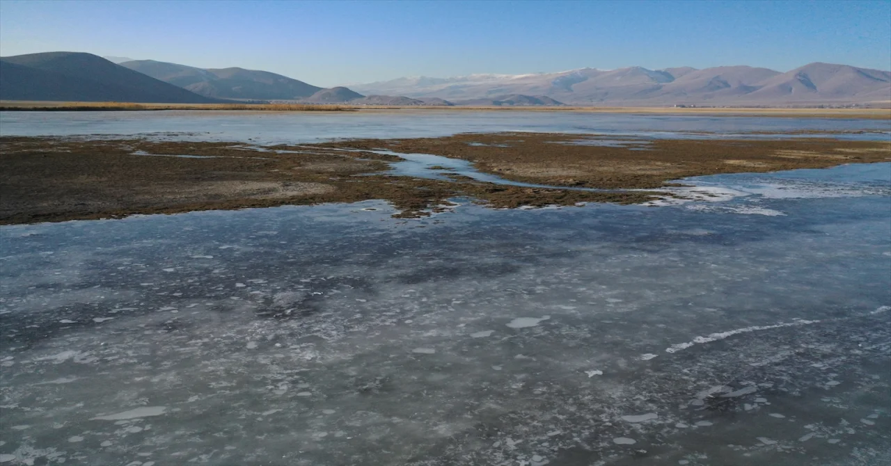 Ağrı’da sulak alanlar buz tuttu