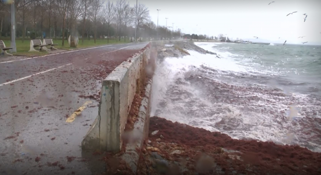 Kadıköy Caddebostan sahili yine kırmızıya büründü