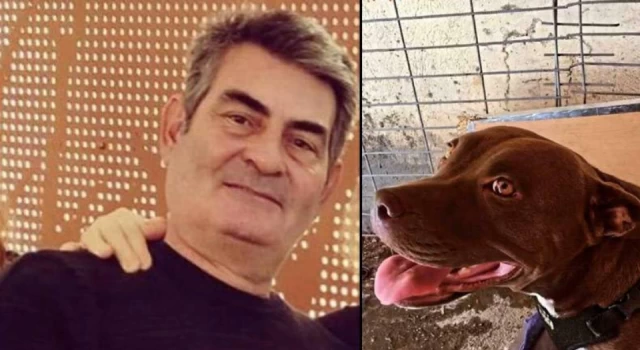 Kulübesinde kilitli köpeği yakarak öldüren sanığın davasında karar çıktı