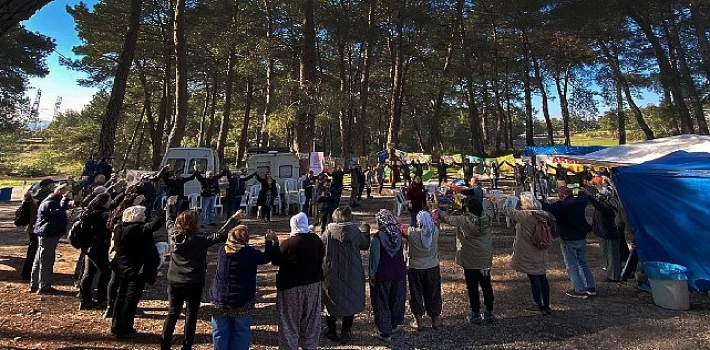 Akbelen Ormanı’nın korunması için sivil toplum kuruluşlarından ortak çağrı!