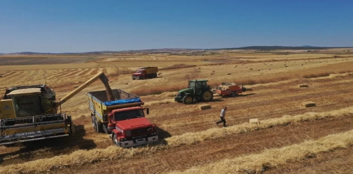 Belediyenin buğdayları un olarak dağıtılacak