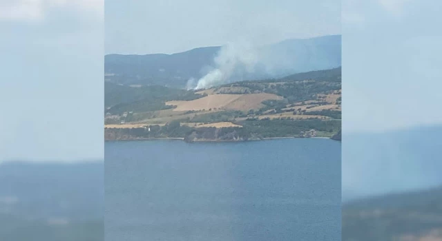 Çanakkale'deki orman yangını söndürüldü: 1 dönüm alan zarar gördü