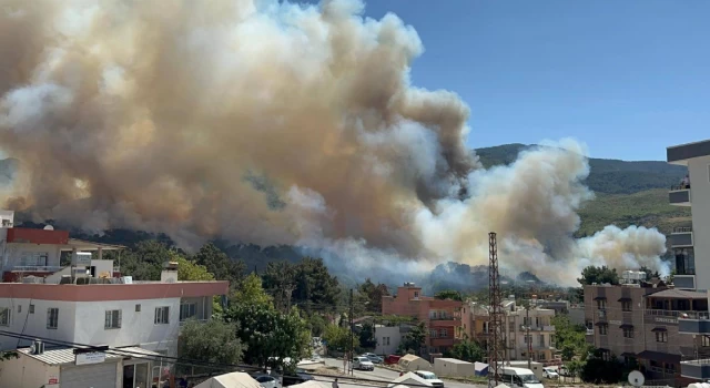 Hatay'da orman yangını! Alevler yerleşim yerlerine yaklaştı!