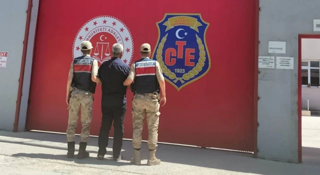 Hatay'da orman yangınına neden olan şüpheli tutuklandı