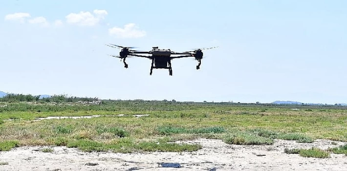 İzmir’de sivrisinek ile dronlu mücadele