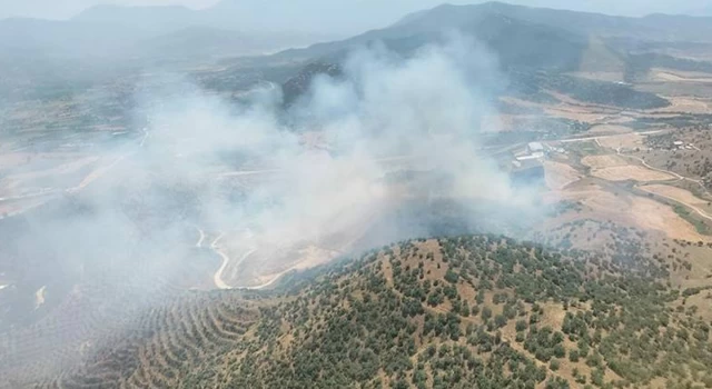 İzmir'de tarlada çıkan yangın, ormana sıçradı