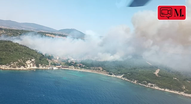 İzmir'in iki ilçesinde orman yangını!