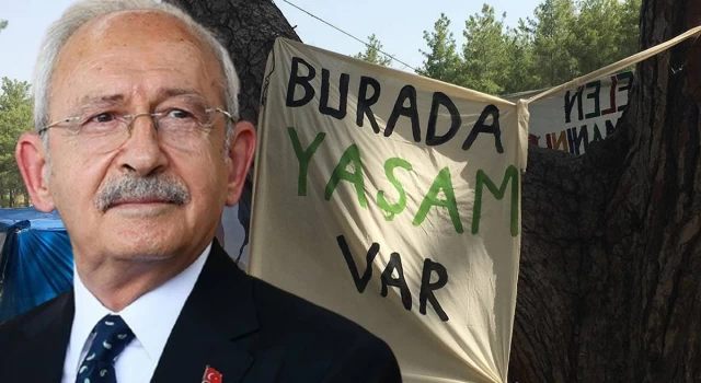 Kılıçdaroğlu ve CHP'li vekiller, Akbelen'e gidiyor