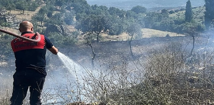 Koçarlı’daki yangın kontrol altına alındı