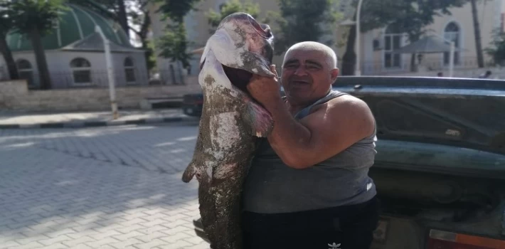 Meriç Nehri’nde boyunca balık yakaladı!