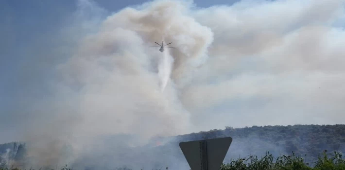 Milas’ta yangın! 2 mahalleyi tehdit ediyor