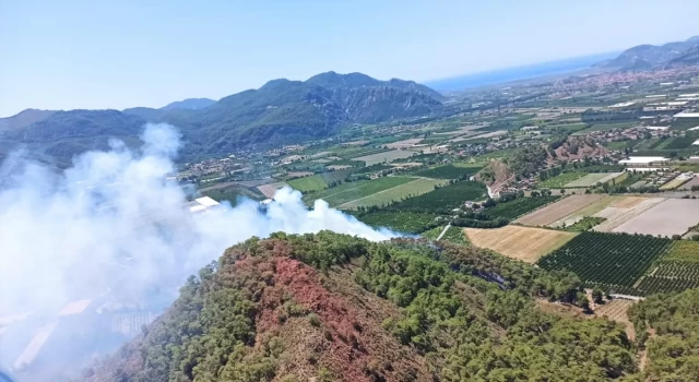 Muğla'da orman yangını