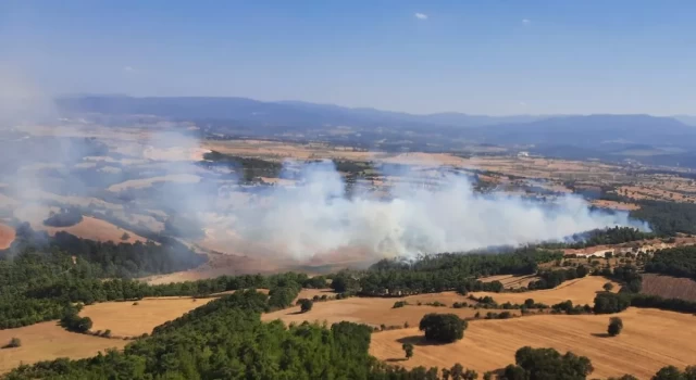 Çanakkale'nin Çan ilçesinde orman yangını çıktı