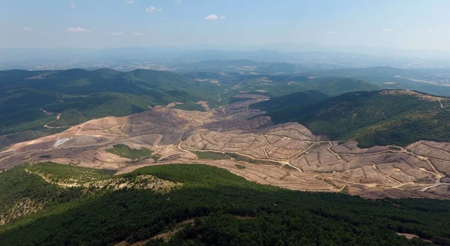 Gündemde Akbelen varken Kaz Dağları’nda kıyıma başlandı