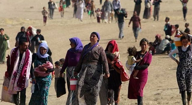 İHD: Ezidi soykırımı tanınsın, 3 Ağustos soykırımı anma günü olarak ilan edilsin