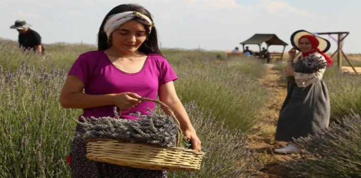 Malatya Arguvan’ın güzellikleri objektiflere yansıdı