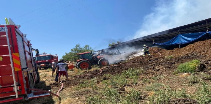 Muğla’da yangından etkilenen hayvanlara müdahale