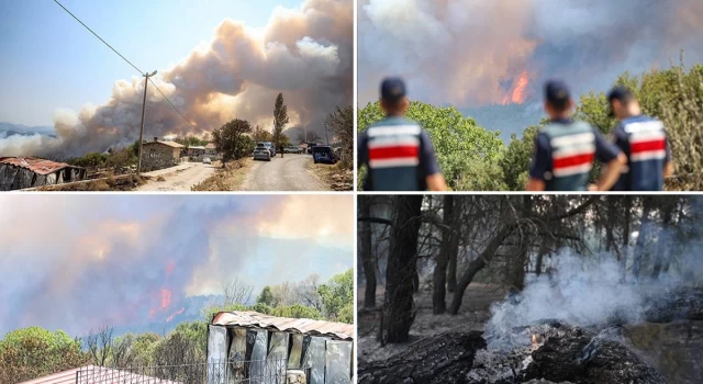 Tarım Bakanı: Çanakkale'ye 1,5 milyon fidan dikilecek, vatandaşın kaybı karşılanacak