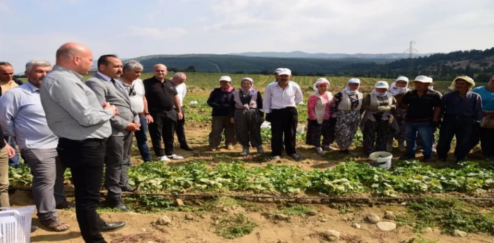 Tarım işçisinin koruyucu ekipmanları Manisa’dan