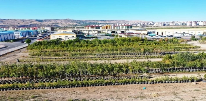 Kayseri Kocasinan ’yeşil’ rekor kıracak