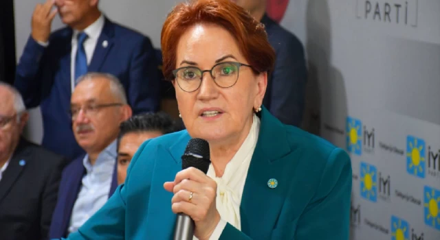 Meral Akşener'den Anayasa Mahkemesi'ne başvuru