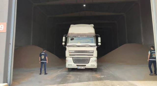 Tekirdağ’da kuru yük gemisinden 84 ton ekmek buğdayı çalındı