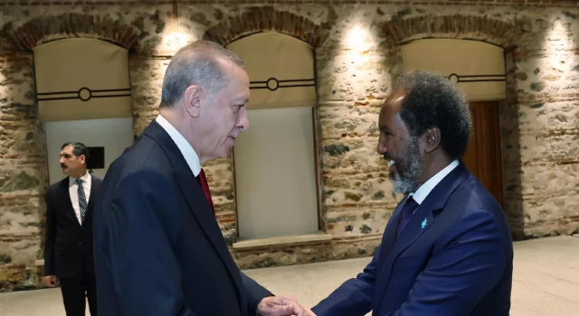 Cumhurbaşkanı Erdoğan, Somali Cumhurbaşkanı Mahmud ile görüştü