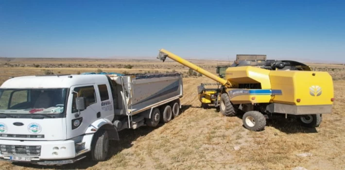 Kayseri Talas’ta aspir mesaisi başladı