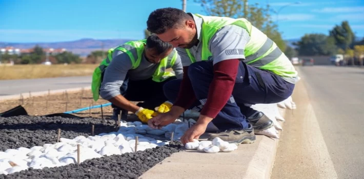 Su krizine karşı kuru peyzaj çözümü