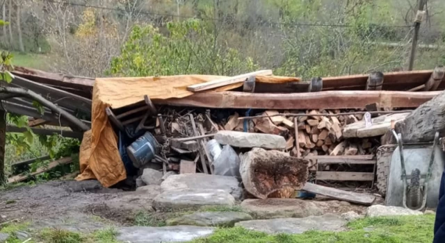 Sinop'ta şiddetli rüzgar ölüme neden oldu