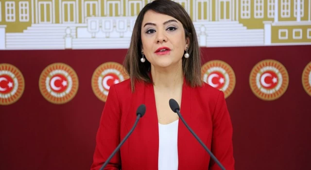 CHP'li Taşcıer: "Hata mı yoksa Taliban rejimi mi ithal etmeye çalışılıyor?"