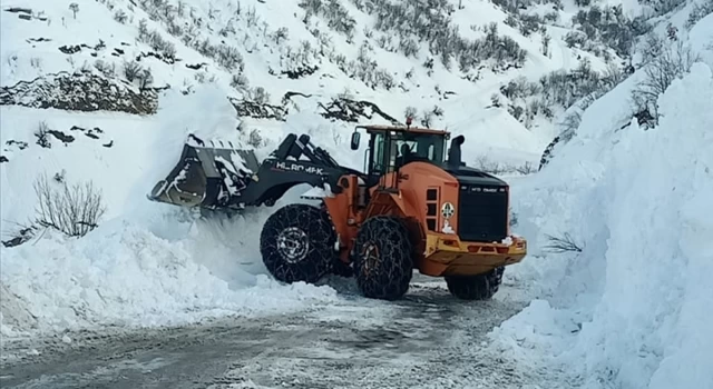 Çığ nedeniyle kapanan Yüksekova-Şemdinli kara yolu açıldı