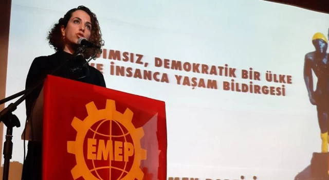 EMEP İl Başkanı Sema Barbaros gözaltına alındı
