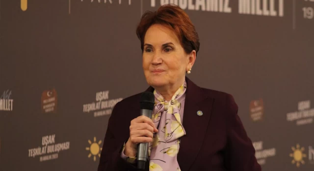 Meral Akşener’den DEM Parti’ye tepki