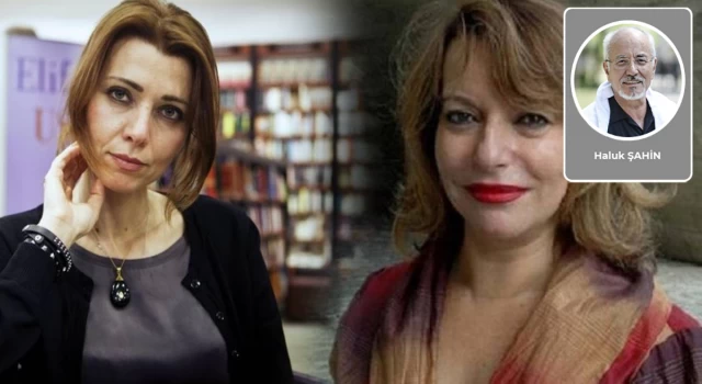 Mine Kırıkkanat – Elif Şafak intihal davasında sapla samanı birbirinden ayıralım...